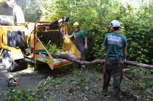 tree services Manila